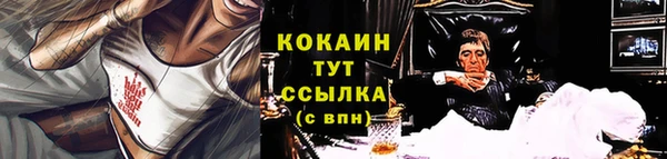 МДПВ Мегион