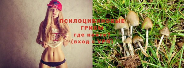 кокаин Медногорск