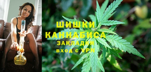 МДПВ Мегион