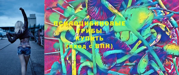 МДПВ Мегион