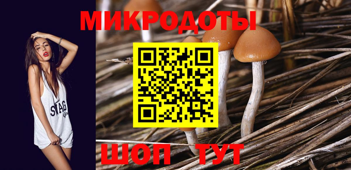 Псилоцибиновые грибы MAGIC MUSHROOMS  продажа наркотиков  Лениногорск  Псилоцибиновые грибы MAGIC MUSHROOMS  Вход с VPN 