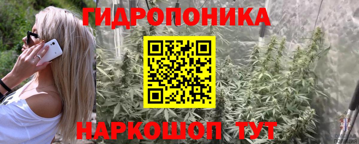 Марихуана семена  Шишки марихуана сатива  Лениногорск  Вход с VPN  Канабис MAZAR  Каннабис семена 